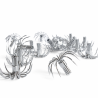 100pcs small spider squid hooks 05S15 12points 15mm